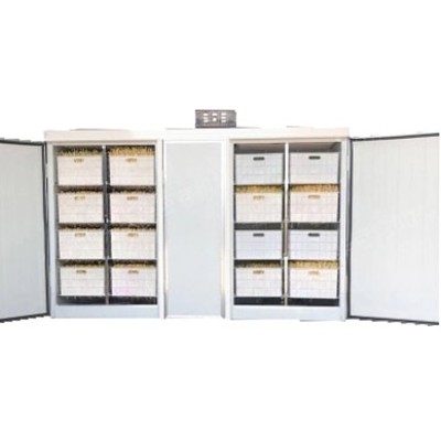 Проращиватель семян, бобов, злаков BSC-200A Foodatlas