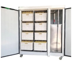 Проращиватель семян, бобов, злаков BSC-100A Foodatlas