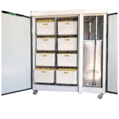 Проращиватель семян, бобов, злаков BSC-100A Foodatlas