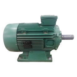 Электродвигатель Leroy Somer 2P LSES160MP Электродвигатель Leroy Somer 2P LSES160MP