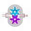 Насос шестеренчатый Fraccarolo - FA/5 - 2,2/1500 300C° (FAM/5) Насос шестеренчатый Fraccarolo - FA/5 - 2,2/1500 300C° (FAM/5)