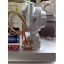 Насос шестеренчатый Fraccarolo - FA/1 - 0,75/1500 300C° (FAM/1) Насос шестеренчатый Fraccarolo - FA/1 - 0,75/1500 300C° (FAM/1)