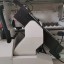 Кромкооблицовочный станок Woodtec Compact mini 300-2